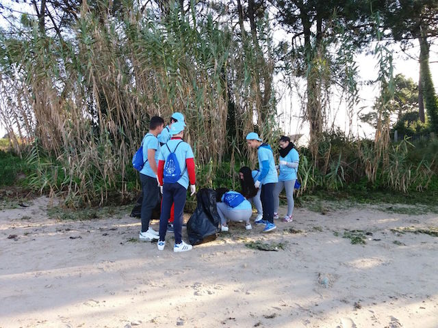 Actividades medioambientais